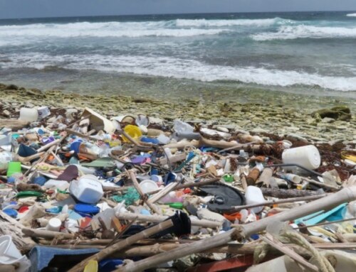 Giving back experience