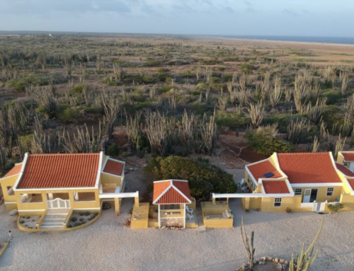 Silence or prayer walk